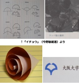 ラッパイチョウなど ラッパイチョウなど